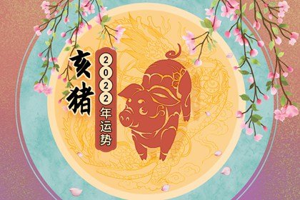 猪@2x
